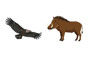 Fototapeta premium Vulture and Wild Boar Illustration Featuring African Safari Animals Isolated on White Background