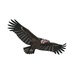 Fototapeta premium Majestic Wild Vulture Soaring High in the Clear Sky Digital Wildlife Illustration