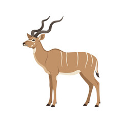 Fototapeta premium Full Body Illustration of a Majestic Greater Kudu Antelope Standing Isolated on White Background
