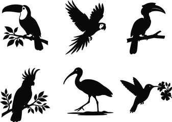 Fototapeta premium Black bird silhouette vector collection featuring toucan, parrot, hornbill, cockatoo, ibis, and hummingbird