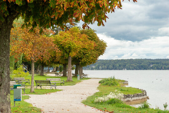 Autumnal Lakeside Park Path