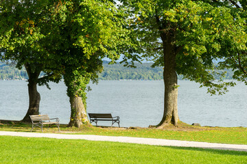 Fototapeta premium Serene Lakeside Park View