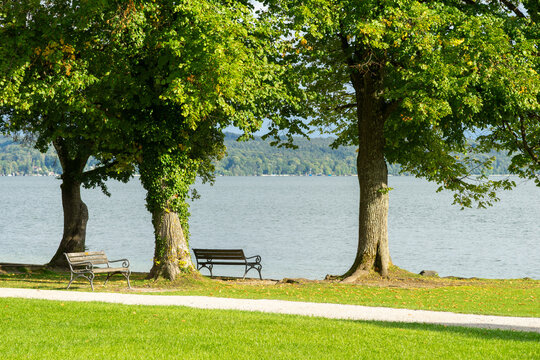 Serene Lakeside Park View