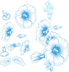 Vintage Blue Line Folwer Illustration © 쩡 깡
