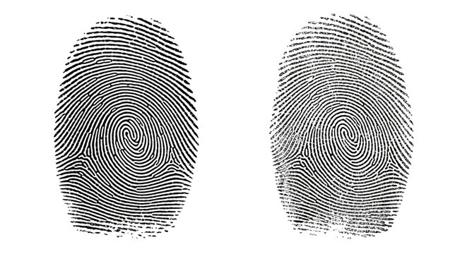 Detailed human fingerprint vector set, black biometric thumbprint icons on white background, forensic identification and security symbols