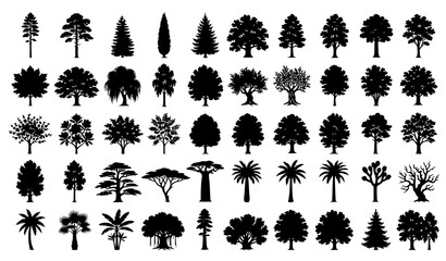 Fototapeta premium Tree Silhouette Collection with Diverse Forest and Botanical Vector Illustrations
