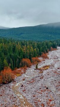 Flying over the no-tree area covered with stones and some narrow streams. Pine tree forests growing in the Mount Rainer National park, Washington State, the USA. Vertical video