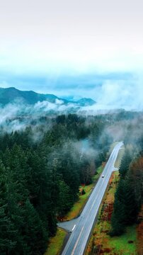Car approaches by the straight highway along the pine tree forest. Thick fog covers the vast pine tree woods in the Mount Rainer National park, Washington State, the USA. Top view. Vertical video