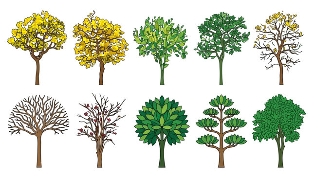 Ilustra&ccedil;&atilde;o vetorial de um conjunto de dez &aacute;rvores diversas, apresentando folhagens verdes e amarelas, &aacute;rvores secas e com frutos, perfeitas para design ecol&oacute;gico e paisagismo.