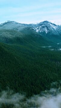 Stunning high mountains in the Mount Rainer National park, Washington State, the USA. Evergreen pine tree woods cover the area. Top view. Vertical video
