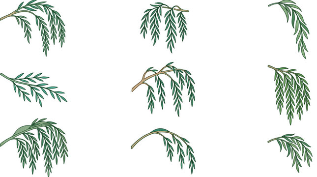 Eine Sammlung von neun illustrierten Weidenzweigen mit gr&uuml;nen Bl&auml;ttern, ideal f&uuml;r florale Designs und Naturprojekte.
