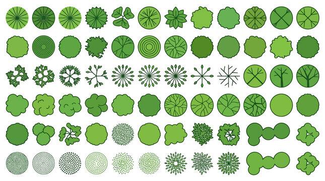 Eine gro&szlig;e Sammlung von Draufsicht-Baum- und Pflanzenvektor-Icons, ideal f&uuml;r Landschaftsarchitekturpl&auml;ne und Stadtplanung.