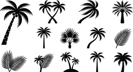 Palm tree silhouettes collection. Flat black coconut trees, tropical palm leaves, exotic plants elements, island jungle vegetation icons set. © MdRobiul