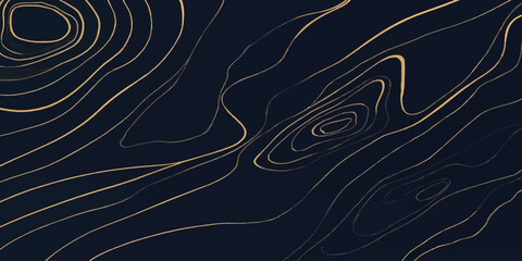 Topographic map lines pattern with dark blue background topographic geography elevation cartography background abstract topography navigation geometry landscape technology visualization © MOHAMAD