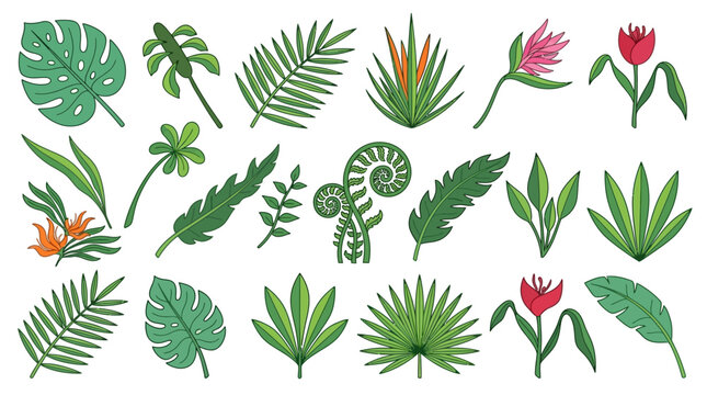 Conjunto de ilustraciones vectoriales de hojas tropicales, plantas ex&oacute;ticas y flores coloridas aisladas sobre un fondo blanco, ideal para dise&ntilde;os bot&aacute;nicos, patrones y decoraci&oacute;n creativa.