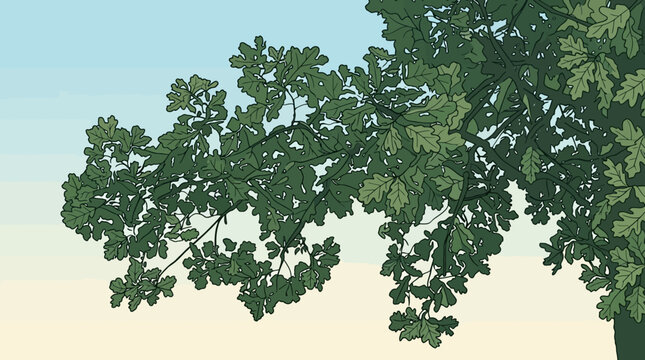 Ramas frondosas de un roble con hojas verdes detalladas se extienden majestuosamente bajo un cielo azul claro, evocando la tranquilidad de la naturaleza y la vitalidad del verano.