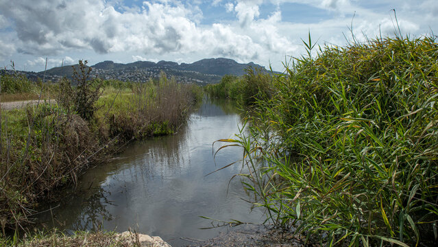 Wetland waterway flows through green vegetation towards mountains in Spain during daylight