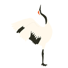 Fototapeta premium Asian crane, standing and looking up, png, hand drawn