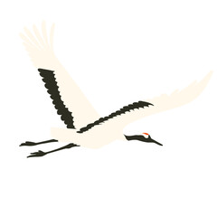 Fototapeta premium Asian crane illustration, png, hand drawn
