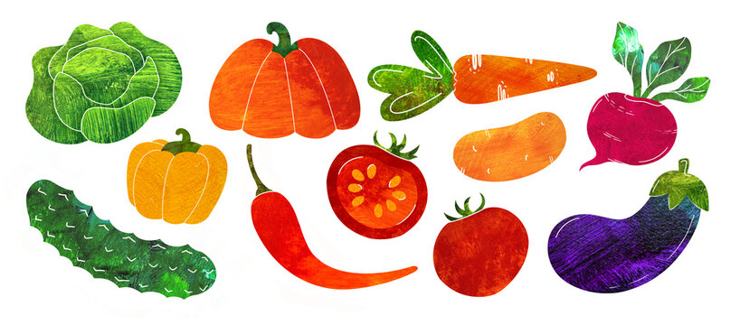 harvesting vegetables set isolated on transparent background. fall elements. Hand-painted Food illustration. clipart for recipes and menu design