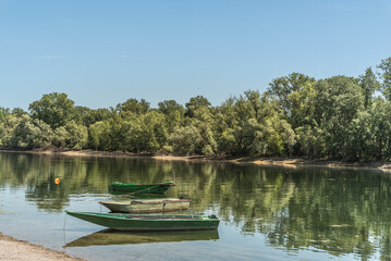 Obraz premium Wooden fishing boats anchored in the calm water of the Rhine River backwater (Altrhein), Waldsee, Rhineland-Palatinate, Germany