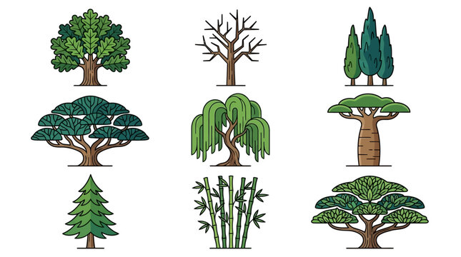 白背景に配置された様々な種類の樹木と植物のフラットなベクターイラストセットで、オーク、柳、針葉樹、竹、バオバブなどの多様な自然の形をスタイリッシュなグラフィックデザインで表現しています。