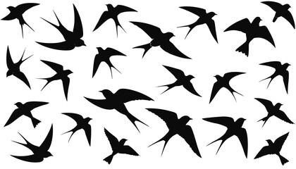 Fototapeta premium vector silhouettes of birds