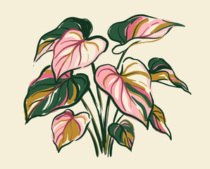 Tropical pink princess philodendron illustration, variegated leaves botanical art, houseplant print, exotic flora, urban jungle decor © srina