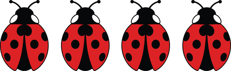 Cute red ladybug vector character set with black spots and antennas arranged in a row isolated on white background flat design illustration © Josna
