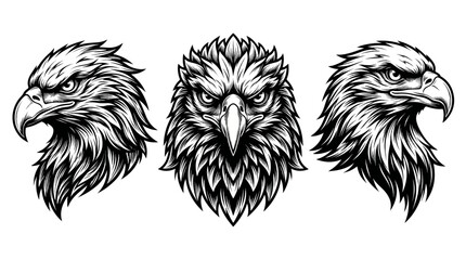 Obraz premium Eagle Heads Illustration Detailed Black And White Vector Graphic