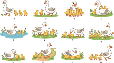 Set of cute family water bird characters with mom goose and yellow baby ducklings in diverse poses for educational kids graphic illustration © Mehedi