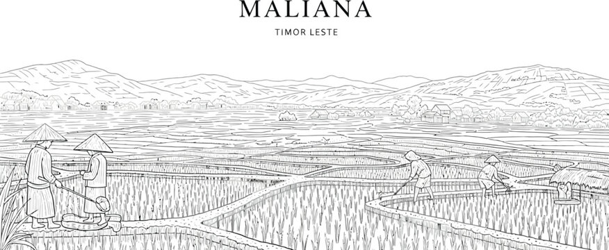 Line art illustration of farmers working in terraced rice paddies in Maliana Timor Leste beneath distant mountains