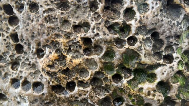 Abstract background of rock surface with movement on the coast with texture UK 4K