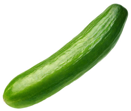Fresh cucumber isolated