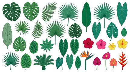 Zestaw ręcznie rysowanych tropikalnych liści i egzotycznych kwiatów, w tym monstery, palmy i hibiskusy, wyizolowanych na białym tle, idealnych do projektów graficznych i dekoracji.
