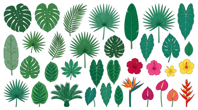 Zestaw ręcznie rysowanych tropikalnych liści i egzotycznych kwiat&oacute;w, w tym monstery, palmy i hibiskusy, wyizolowanych na białym tle, idealnych do projekt&oacute;w graficznych i dekoracji.