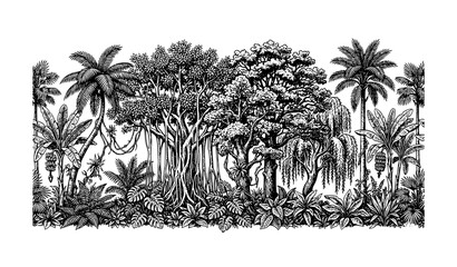 Tropical Jungle Mural Border Vector with Vintage Palm Banana Banyan Oak and Willow Trees © Shaon