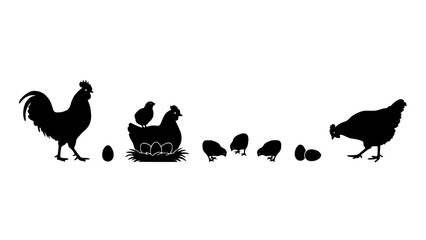 Chickens and Eggs in a Black and White Vector Illustration Featuring Silhouettes Featuring Silhouette, Farm, Poultry with Animals © Komol