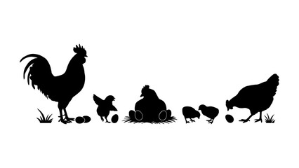 Chicken Silhouettes with Farm Animals in Black and White Vector Style for Agriculture and Rural Concept Backgrounds © Komol