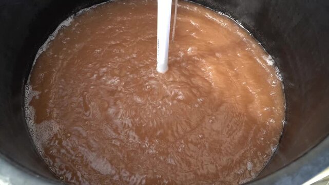 Live Artemia Culture for Feeding Fish Larvae in Aquaculture Hatchery and Sustainable Marine Fish Farming