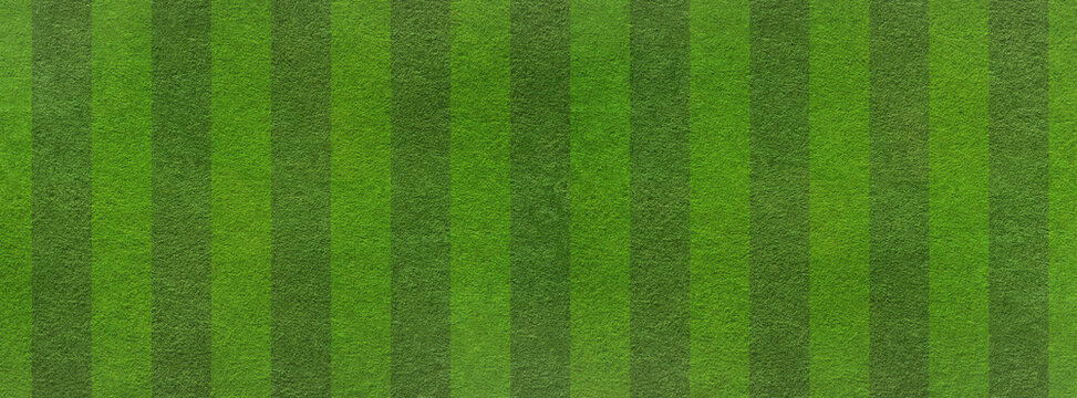 Empty striped soccer, football field texture. Green grass texture - well-groomed turf in the garden or soccer stadium. Banner witch copy space.