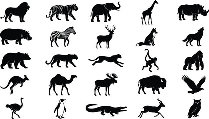 Fototapeta premium Black and white of various animals including mammals, birds, and reptiles