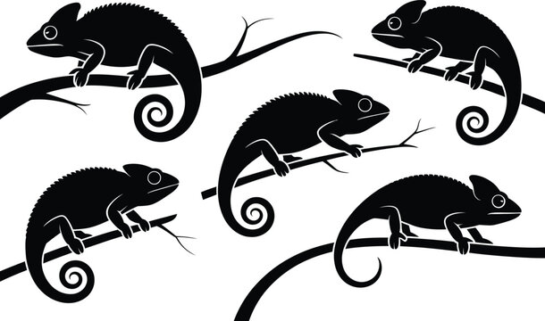 Five chameleon silhouette graphics on branches with chameleon silhouette wildlife creature isolated collection herpetology climbing illustration stencils blackwork stylized zoological