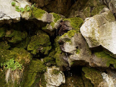 Horizontal photo of water drops dripping from a mossy stone cave ceiling, beautiful natural mountain spring source with lush green moss and wild plants on wet rocky cliffs, scenic grotto landscape