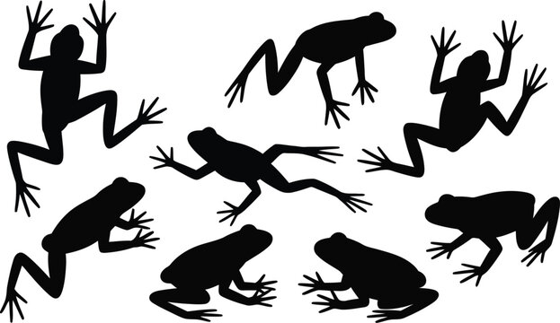 Black silhouette collection of frogs in various jumping and sitting postures with amphibian silhouette wildlife collection isolated illustration creature decoration minimalist environment