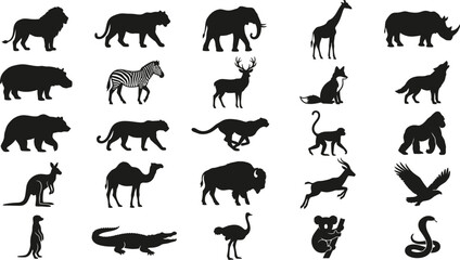 Obraz premium Black and white of various animals, including mammals, birds, and reptiles