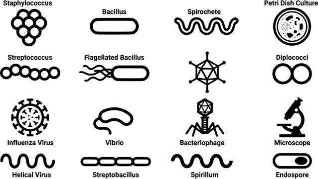Bacteria and virus icon set. Microbiology organisms and laboratory research symbols collection in flat style. Editable vector illustration on white background.