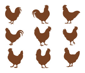 Rooster and Hen Silhouettes: A collection of nine brown silhouettes depicting roosters and hens in various poses, perfect for farm or poultry-related designs. farm animal, bird graphic. © SHUVO