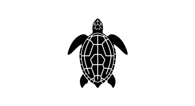 Black and white minimalist sea turtle icon top view