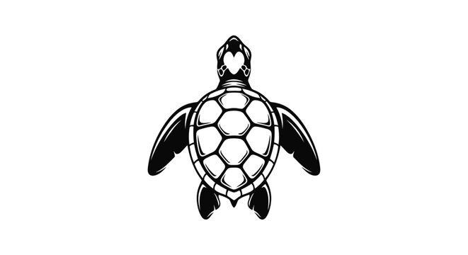 Sea turtle top view black and white illustration